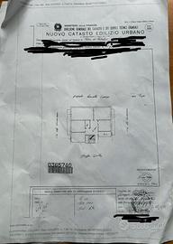 Vendita appartamento nel cuore di palma