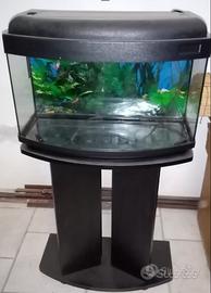 Acquario 60 litri