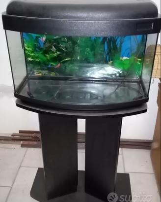 Acquario 60 litri