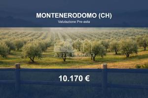 Immobile in asta di 32600 m² a Torricella Peligna