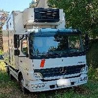 mercedes cella frigo