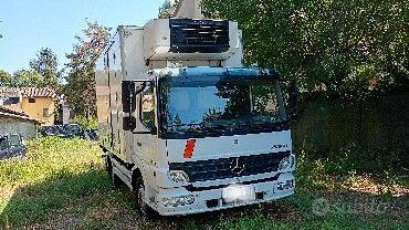 mercedes cella frigo