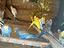 Immagine 5