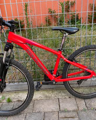 Mtb Rockrider ST100 26" XS