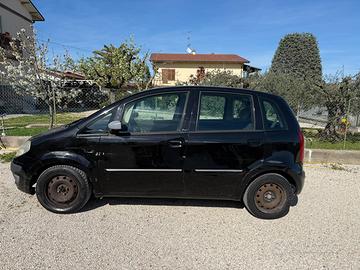 Lancia musa