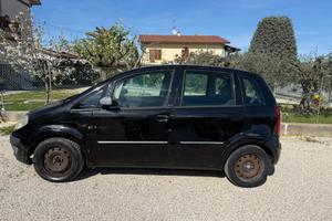 Lancia musa
