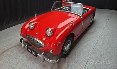 Austin Healey Altro Sprite "Frog Eye" ASI