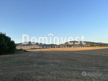 Terreno di 130000 m² a Capalbio