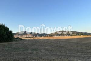 Terreno di 130000 m² a Capalbio