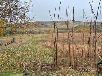 Terreno a Montescaglioso