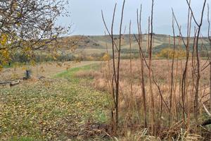 Terreno a Montescaglioso