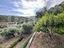 Immagine 8