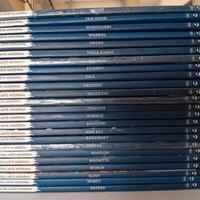 Libri i maestri dell'arte moderna