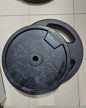 Pesi gommati  in ghisa da 20 kg