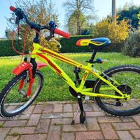 Bicicletta raggio 20