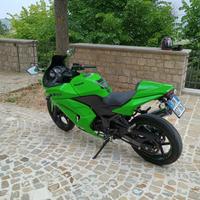 Kawasaki Ninja 250R - 2009