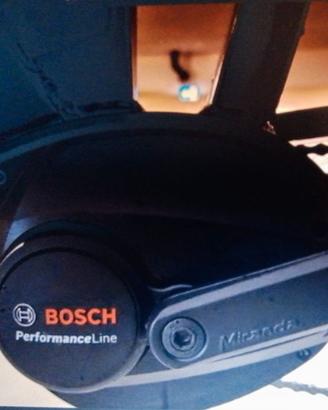 bicicletta elettrica 