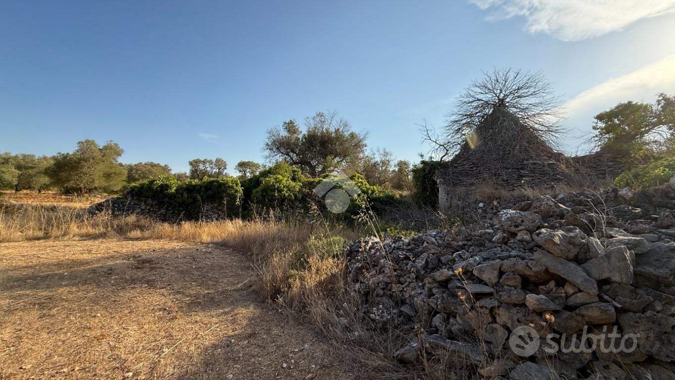 RUSTICO A CEGLIE MESSAPICA - Vista 3