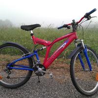 Bici ammortizzata ruote 26"