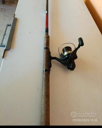 Canna da pesca con mulinello 