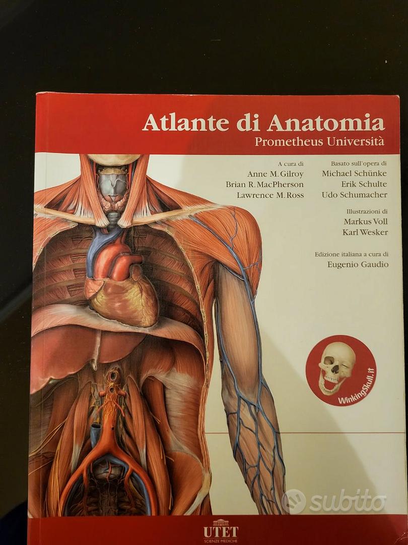 atlante-di-anatomia-prometheus-gilroy-anne-m-macpherson-brian-r