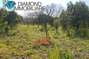 TERRENO AGRICOLO 3.460 mq A GIARRE