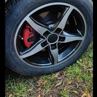 Cecchi in lega da 16 "