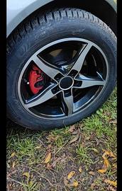 Cecchi in lega da 16 "