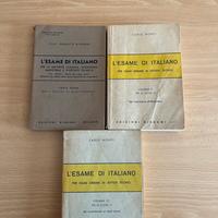 Libri esame di italiano Bignami