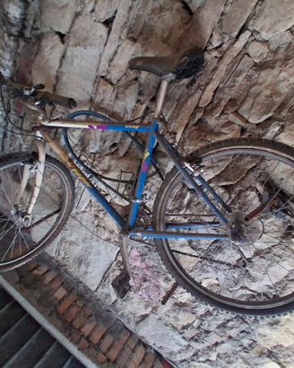 mountain bike