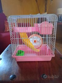 gabbietta per criceto 