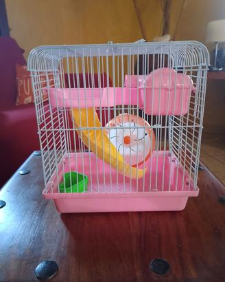 gabbietta per criceto 