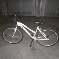 Mountain Bike Mirage anni '90 