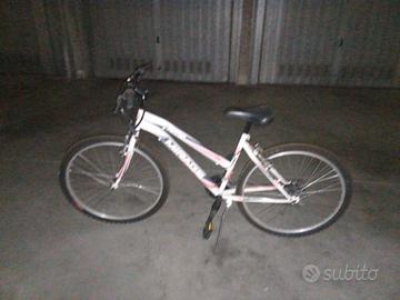 Mountain Bike Mirage anni '90 