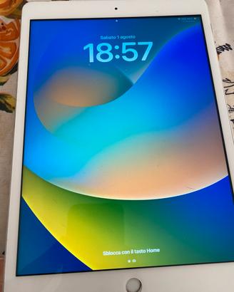 Ipad Apple  7 128 GB