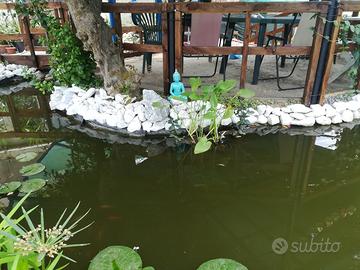 Aiuole giardino manutenzione siepi