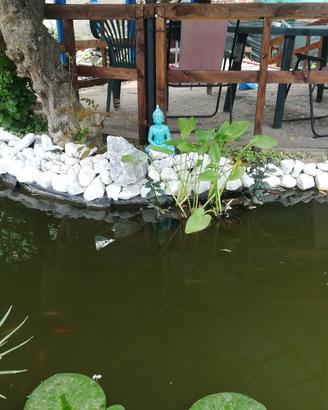 Aiuole giardino manutenzione siepi