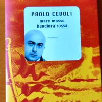Mare rosso bandiera rossa Paolo Cevoli