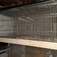 gabbie da cova varie misure 30€