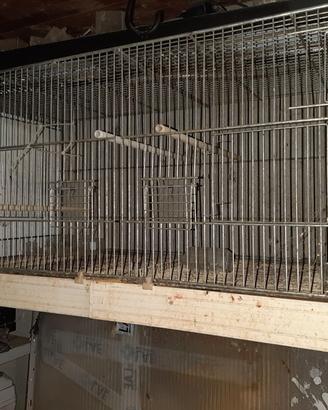 gabbie da cova varie misure 30€