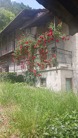 Casa indipendente libera su 4 lati con terreno
