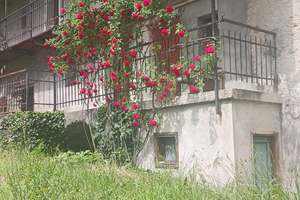 Casa indipendente libera su 4 lati con terreno