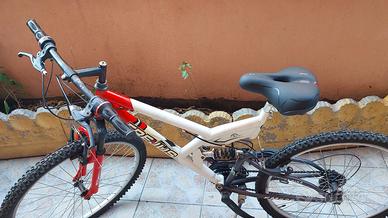 Mountain bike con accessori