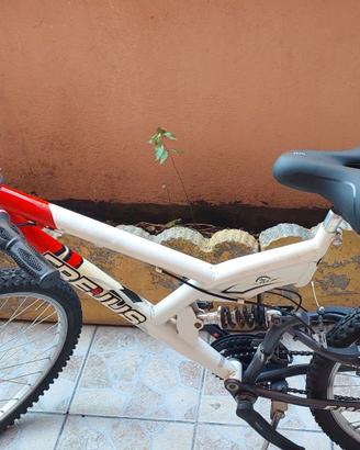 Mountain bike con accessori