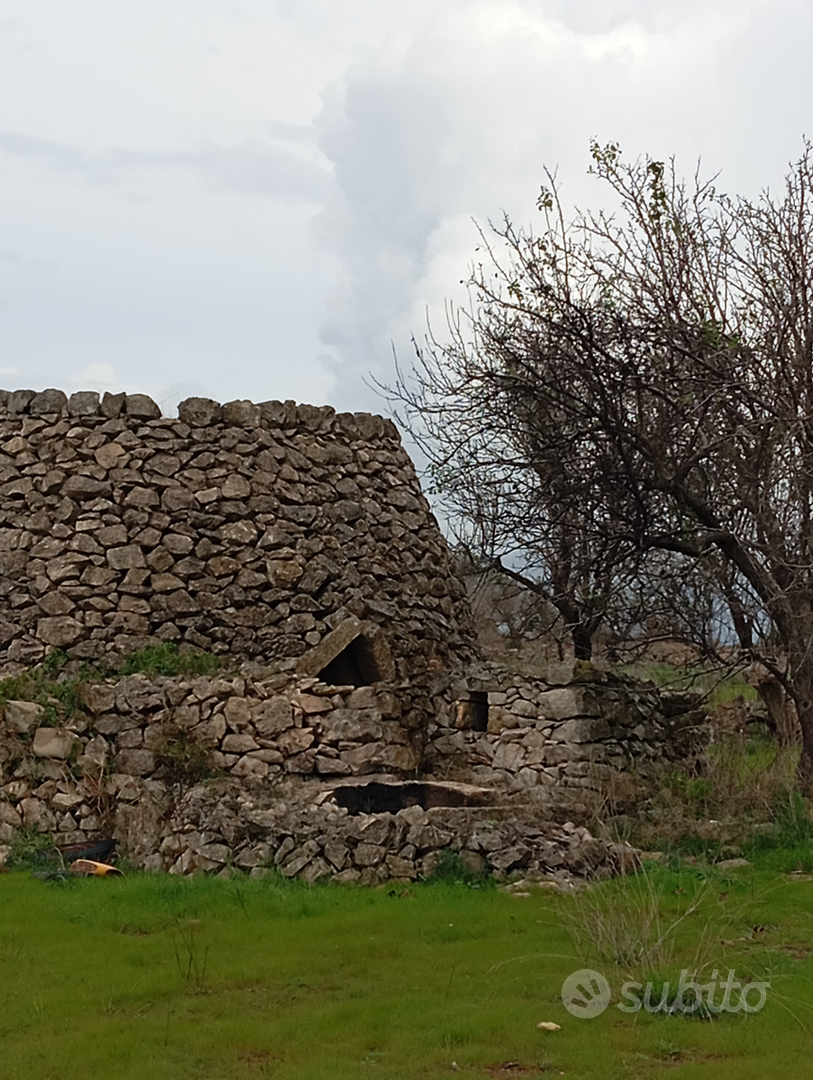 Terreno agricolo - Vista 3