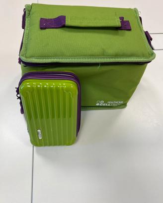 Borsa temica