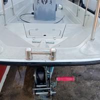 Boston whaler 