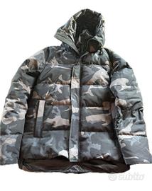 Canada goose  MacMillan