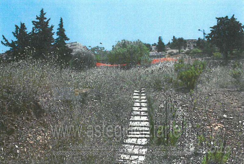 Terreno Agricolo Minervino Murge [A4316576] - Vista 4