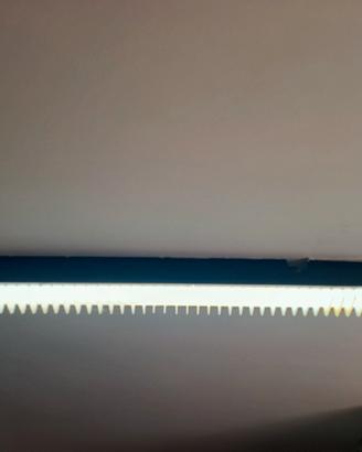 lampada neon